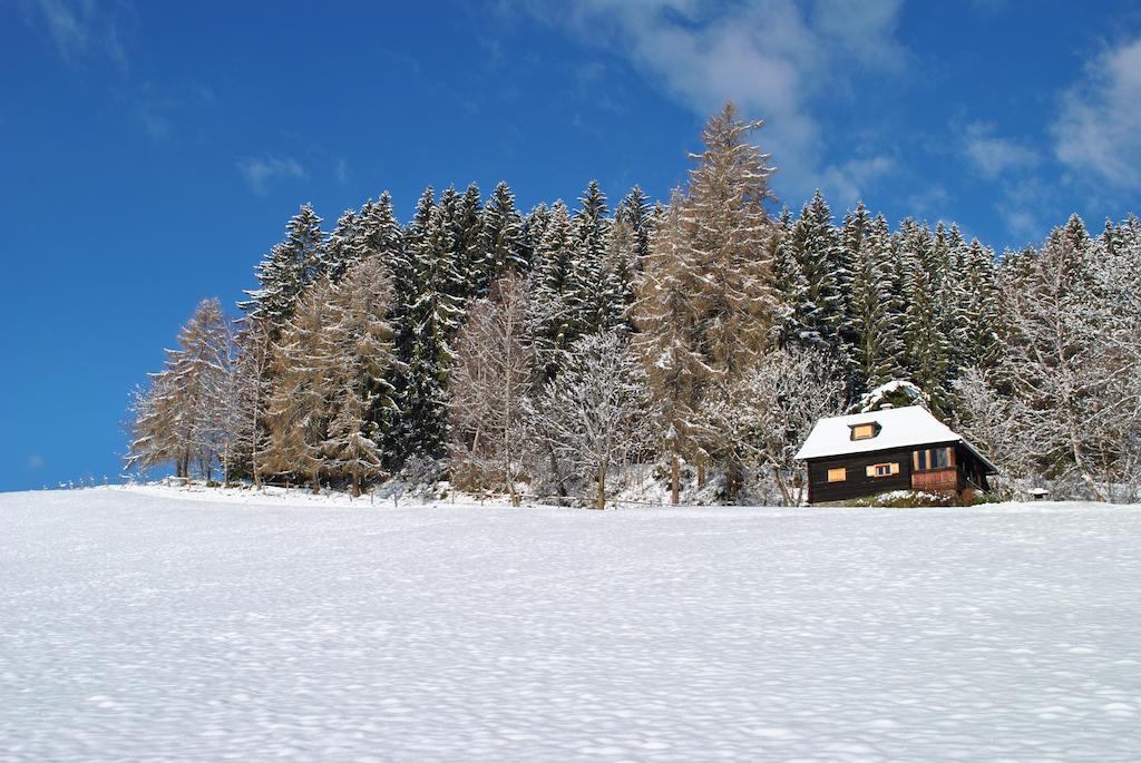 Schlintl-Hof Villa Liebenfels Bilik gambar