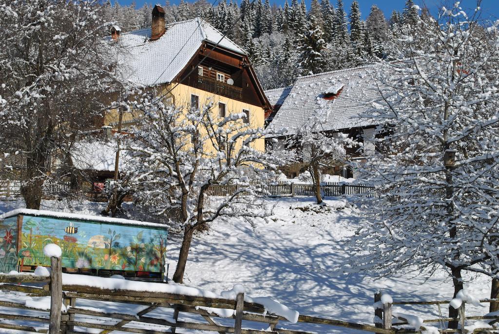 Schlintl-Hof Villa Liebenfels Luaran gambar