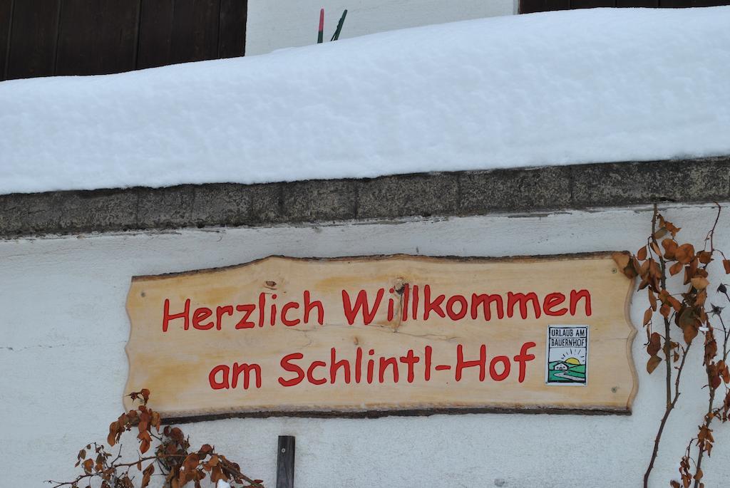 Schlintl-Hof Villa Liebenfels Luaran gambar