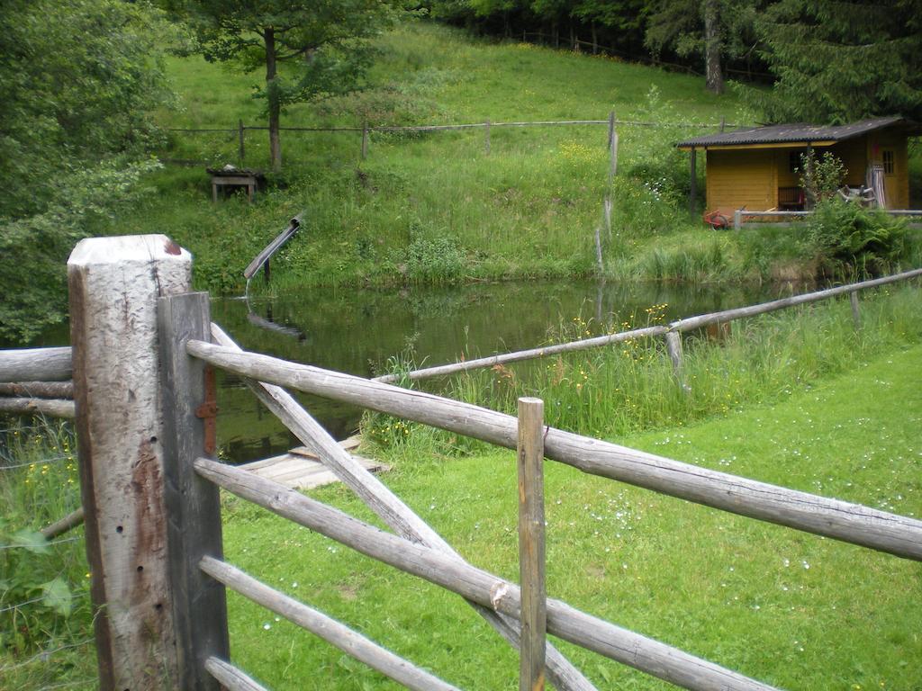 Schlintl-Hof Villa Liebenfels Luaran gambar