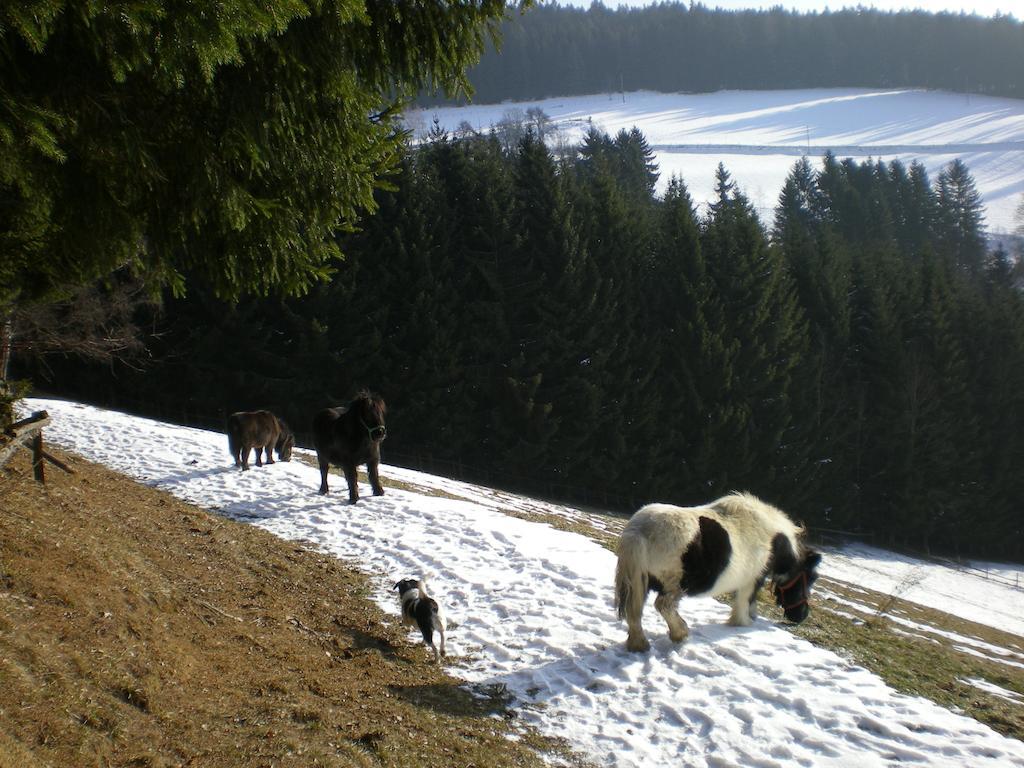 Schlintl-Hof Villa Liebenfels Luaran gambar