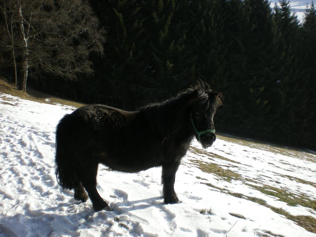 Schlintl-Hof Villa Liebenfels Luaran gambar