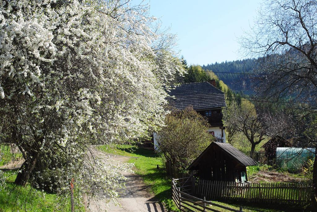 Schlintl-Hof Villa Liebenfels Luaran gambar