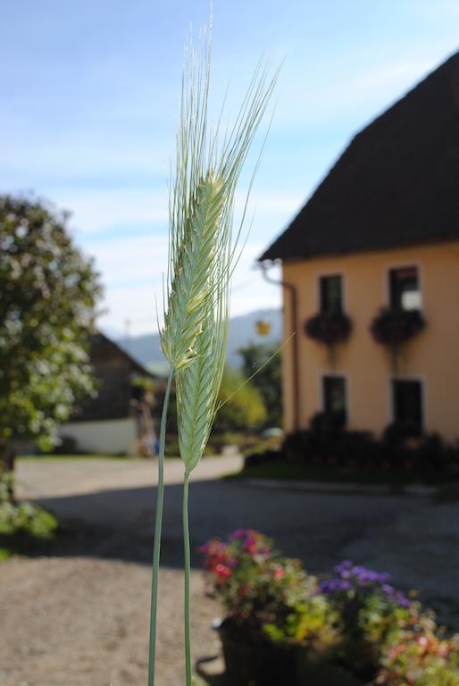 Schlintl-Hof Villa Liebenfels Luaran gambar